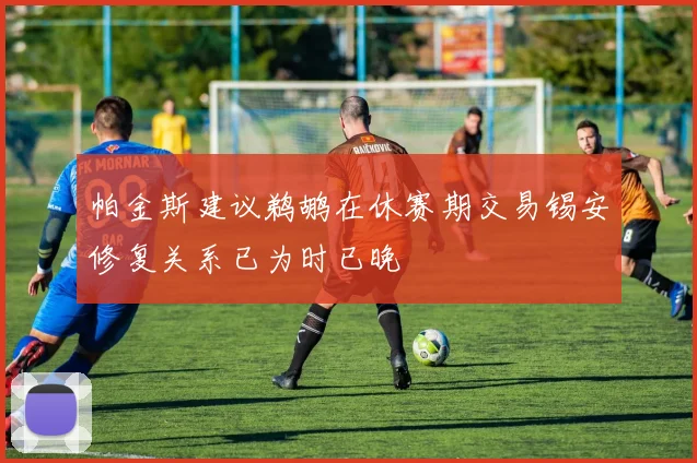 帕金斯建议鹈鹕在休赛期交易锡安修复关系已为时已晚